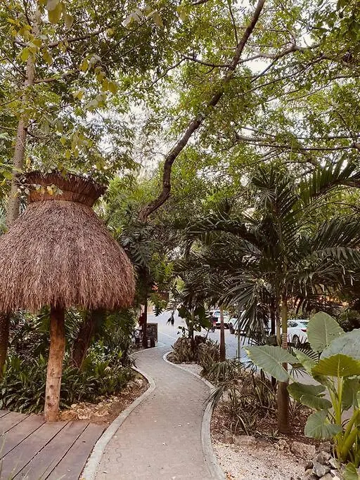 Apartment Unique Stay In Playa - Walk To Beach + 5Th Avenue Playa del Carmen