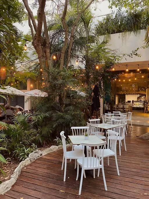 Unique Stay In Playa - Walk To Beach + 5Th Avenue Playa del Carmen 0*,